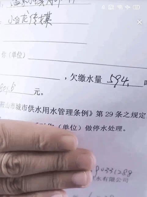 小白龙公开欠债清单，揭露身无分文的真实情况-第1张