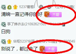 小白龙命硬，杰哥买单百万税务，三亚房子查收一无所有！-第7张