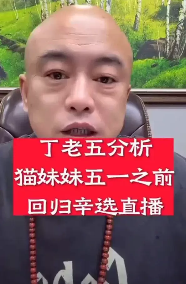 辛巴大度原谅猫妹妹？五一回归直播？-第1张